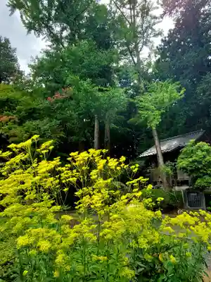 上合寺(福島県)