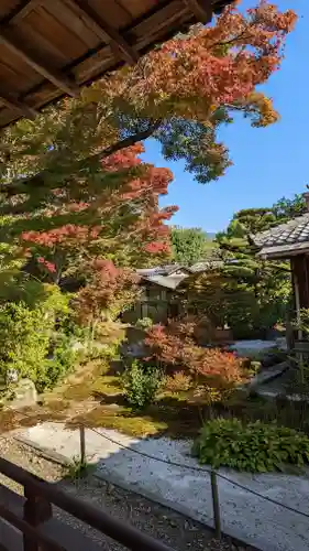 宝筐院の庭園