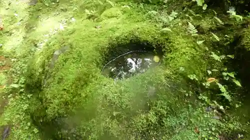 平泉寺白山神社(福井県)