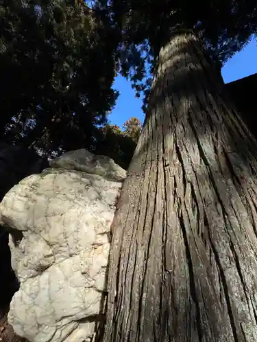鹿島大神宮(福島県)