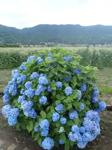 最乗寺（道了尊）(神奈川県)