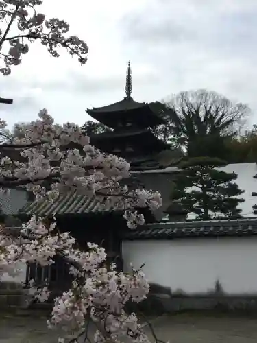 當麻寺(奈良県)