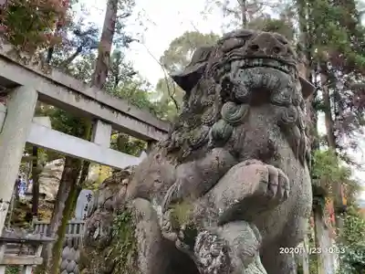 針綱神社の狛犬