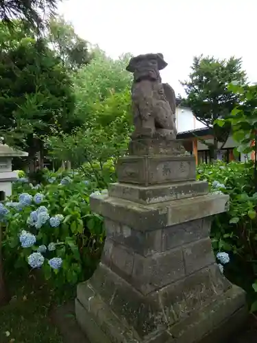 西野神社の狛犬