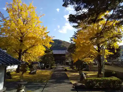 高成寺の建物その他