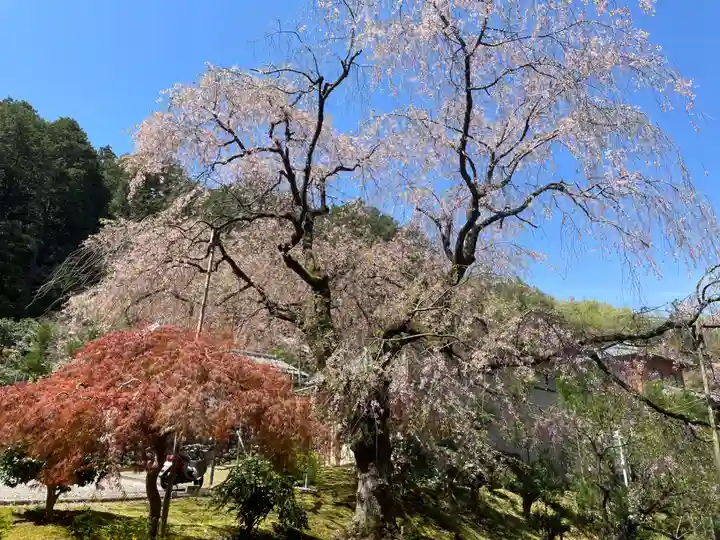往生院(京都府)