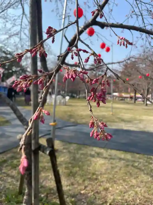 櫻岡大神宮の{uncategorized: "未分類", other: "その他", undefined: "問題あり", building: "その他建物", grave: "お墓", sacred_gate: "鳥居", guardian: "狛犬", statue: "像", buddha: "仏像", history: "歴史", nature: "自然", garden: "庭園", animal: "動物", pagoda: "塔", temizu: "手水舎", mountain_gate: "山門・神門", sanctuary: "本殿・本堂", subordinate: "末社・摂社", art: "芸術", scenery: "景色", jizo: "地蔵", ema: "絵馬", goshuin: "御朱印", omikuji: "おみくじ", items: "授与品その他", amulet: "お守り", goshuincho: "御朱印帳", eats: "食事", festival: "お祭り", votive_dance: "神楽", shichigosan: "七五三参", wedding: "結婚式", experience: "体験その他", initially: "初詣", around: "周辺", anti_infection: "感染症対策"}