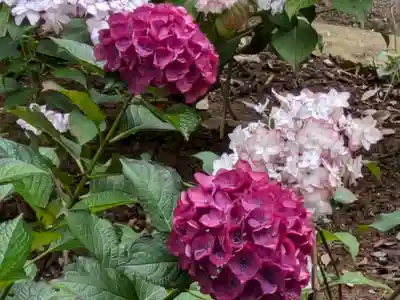 二本松寺(茨城県)