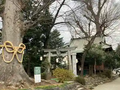 出雲大社相模分祠(神奈川県)