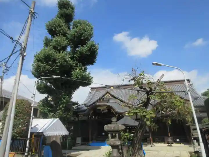 大圓寺(東京都)