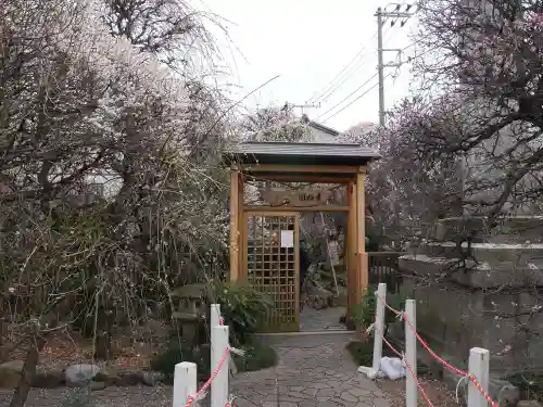 小村井 香取神社の庭園