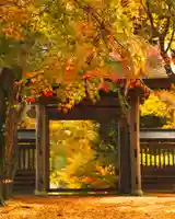 泉龍寺(群馬県)