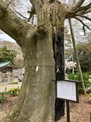 羽咋神社の{uncategorized: "未分類", other: "その他", undefined: "問題あり", building: "その他建物", grave: "お墓", sacred_gate: "鳥居", guardian: "狛犬", statue: "像", buddha: "仏像", history: "歴史", nature: "自然", garden: "庭園", animal: "動物", pagoda: "塔", temizu: "手水舎", mountain_gate: "山門・神門", sanctuary: "本殿・本堂", subordinate: "末社・摂社", art: "芸術", scenery: "景色", jizo: "地蔵", ema: "絵馬", goshuin: "御朱印", omikuji: "おみくじ", items: "授与品その他", amulet: "お守り", goshuincho: "御朱印帳", eats: "食事", festival: "お祭り", votive_dance: "神楽", shichigosan: "七五三参", wedding: "結婚式", experience: "体験その他", initially: "初詣", around: "周辺", anti_infection: "感染症対策"}