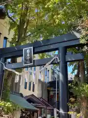 菊名神社の鳥居