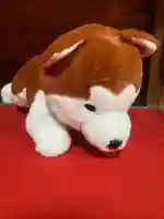 鹿角八坂神社(秋田県)