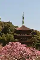 瑠璃光寺(山口県)