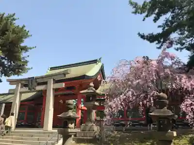 住吉大社(大阪府)