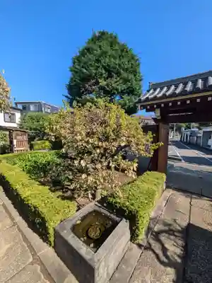 慈眼寺(東京都)