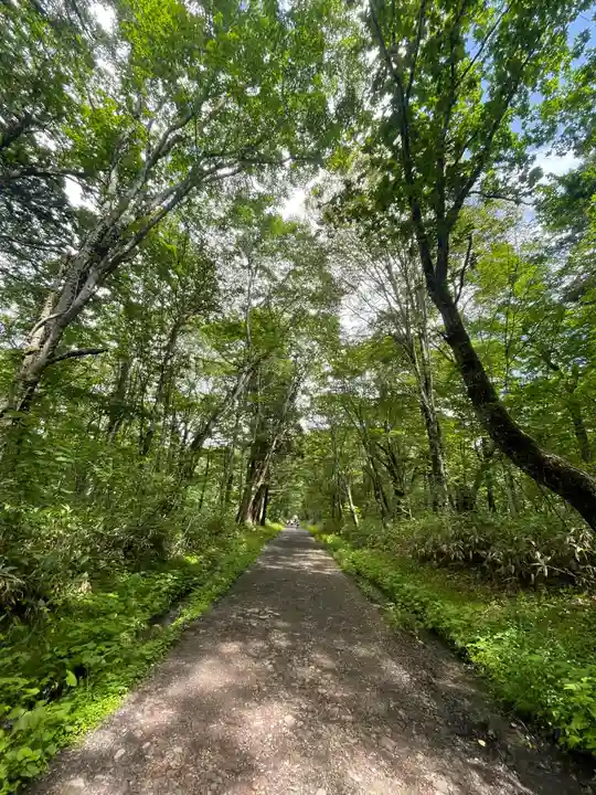 戸隠神社奥社の周辺