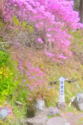 夫婦木神社(山梨県)