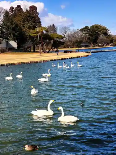 三光稲荷神社(福島県)