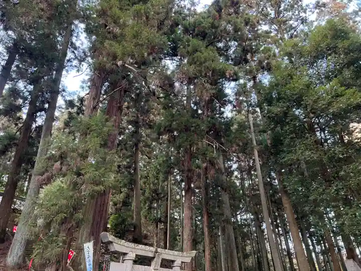 大宮温泉神社(栃木県)