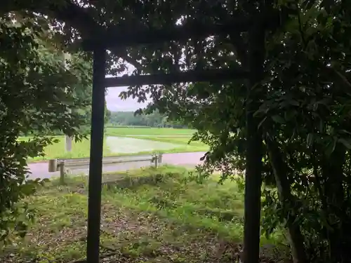 神社（名称不明）の鳥居