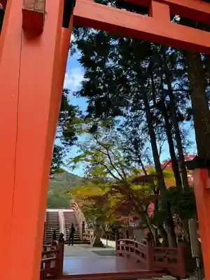 丹生都比売神社(和歌山県)