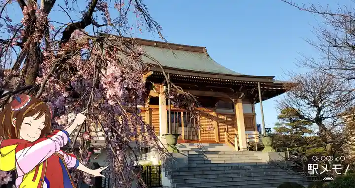 南蔵院の本殿・本堂