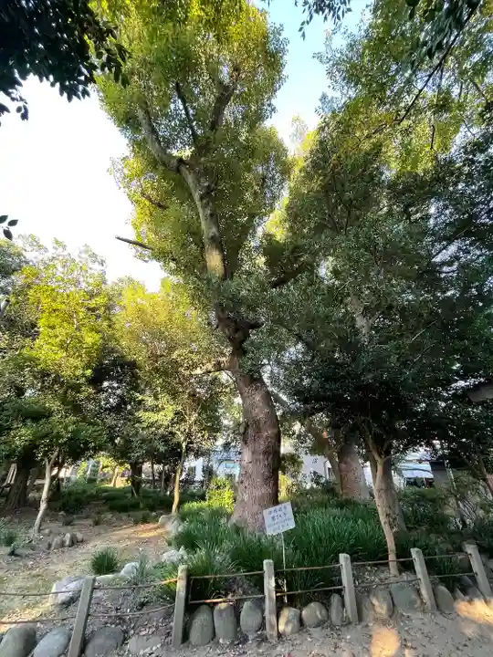 御薗神社(三重県)