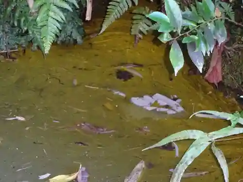 白笹稲荷神社の自然