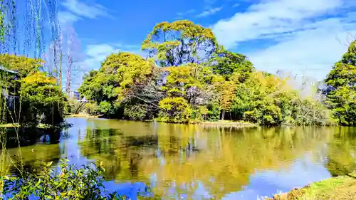 菊田神社の自然