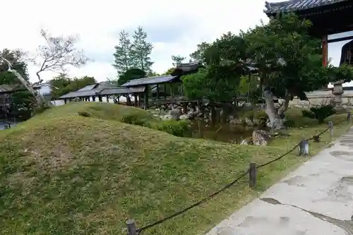 高台寺（高台寿聖禅寺・高臺寺）の庭園