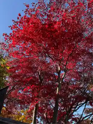 伊香保神社(群馬県)