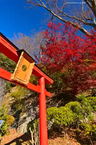 足利織姫神社(栃木県)