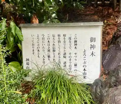 神場山神社(静岡県)
