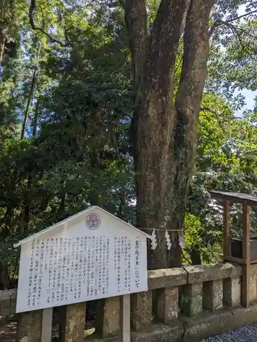 久能山東照宮の歴史