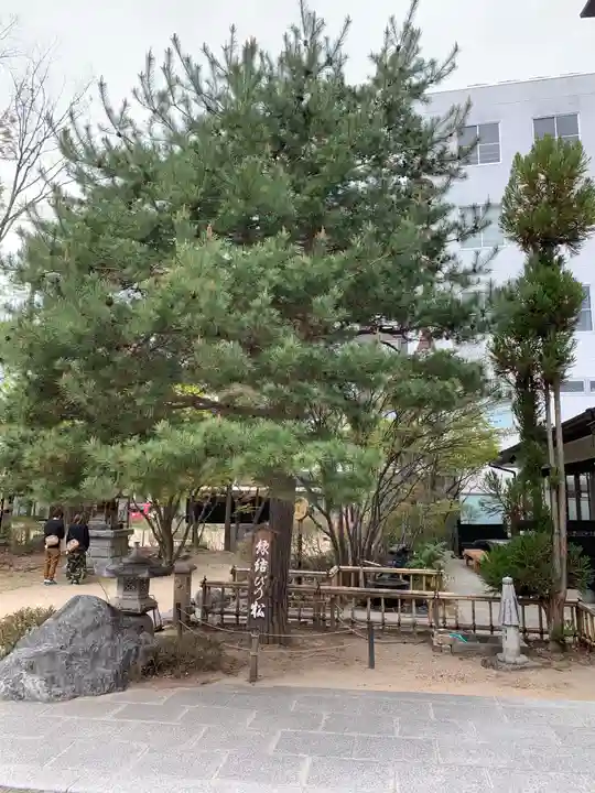 四柱神社の自然