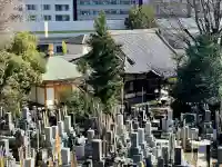 大泉寺の{uncategorized: "未分類", other: "その他", undefined: "問題あり", building: "その他建物", grave: "お墓", sacred_gate: "鳥居", guardian: "狛犬", statue: "像", buddha: "仏像", history: "歴史", nature: "自然", garden: "庭園", animal: "動物", pagoda: "塔", temizu: "手水舎", mountain_gate: "山門・神門", sanctuary: "本殿・本堂", subordinate: "末社・摂社", art: "芸術", scenery: "景色", jizo: "地蔵", ema: "絵馬", goshuin: "御朱印", omikuji: "おみくじ", items: "授与品その他", amulet: "お守り", goshuincho: "御朱印帳", eats: "食事", festival: "お祭り", votive_dance: "神楽", shichigosan: "七五三参", wedding: "結婚式", experience: "体験その他", initially: "初詣", around: "周辺", anti_infection: "感染症対策"}