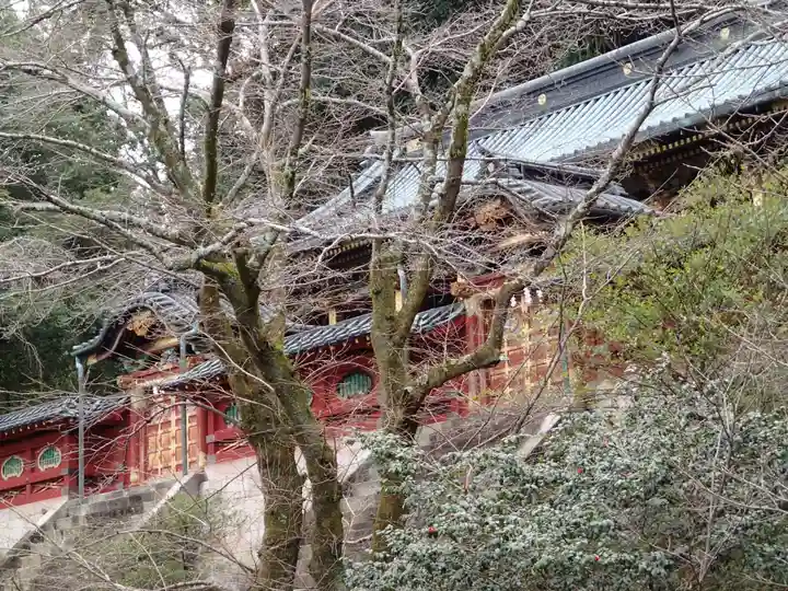 静岡浅間神社の自然