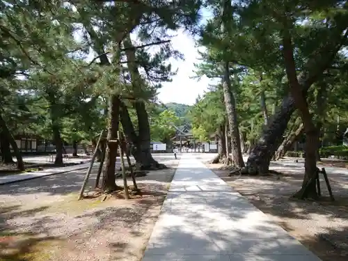 出雲大社(島根県)
