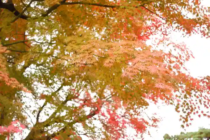 天津神社(新潟県)