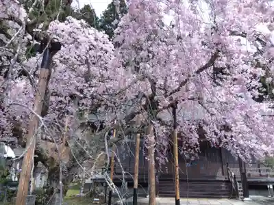 大聖院(京都府)
