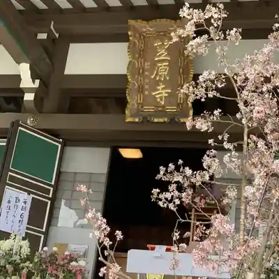 笠原寺のその他建物