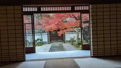 真正極楽寺(真如堂)(京都府)