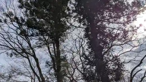 山の神古墳の自然