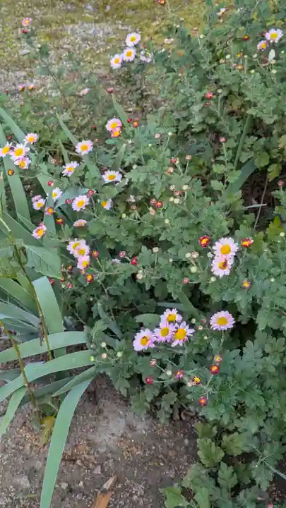 阿弥陀寺(御陵天徳町)(京都府)