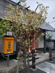 鹽竃神社の自然