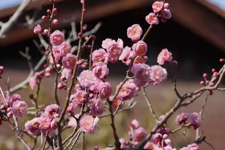 長岡天満宮(京都府)