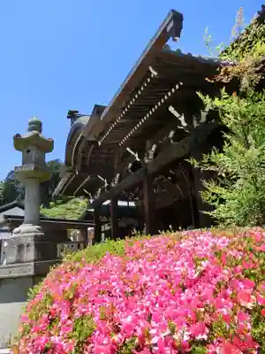 三室戸寺の本殿・本堂